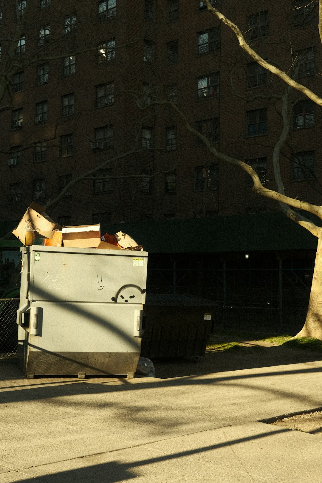 a-dumpster-sitting-on-the-side-of-a-road-next-to-a-tree-i6sdyrylx-0